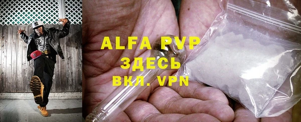ГАЛЛЮЦИНОГЕННЫЕ ГРИБЫ Верея
