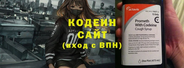 a pvp Бородино