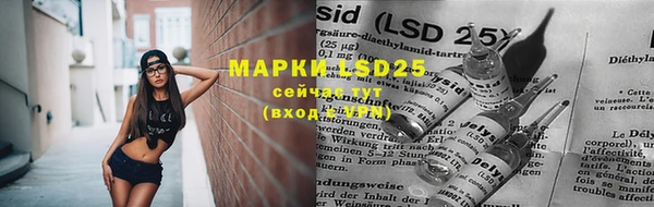 прущие крисы Верхний Тагил
